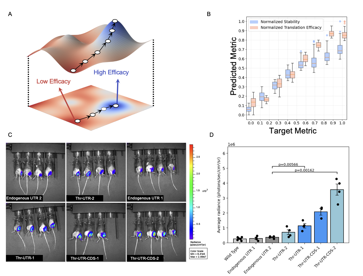 Generative model for biologics design